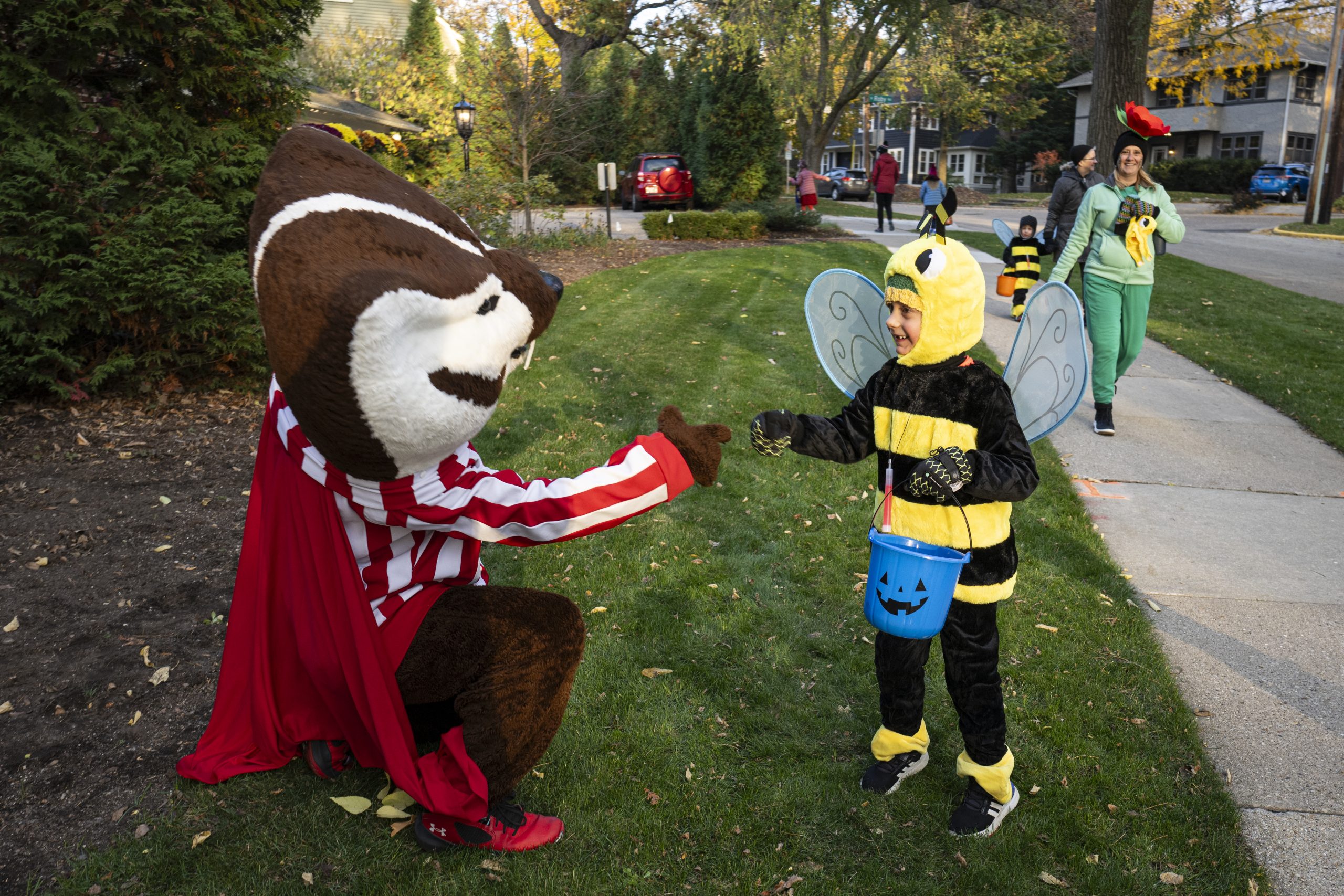 Bucky Badger mascot holds out hand to small child in a bee costume