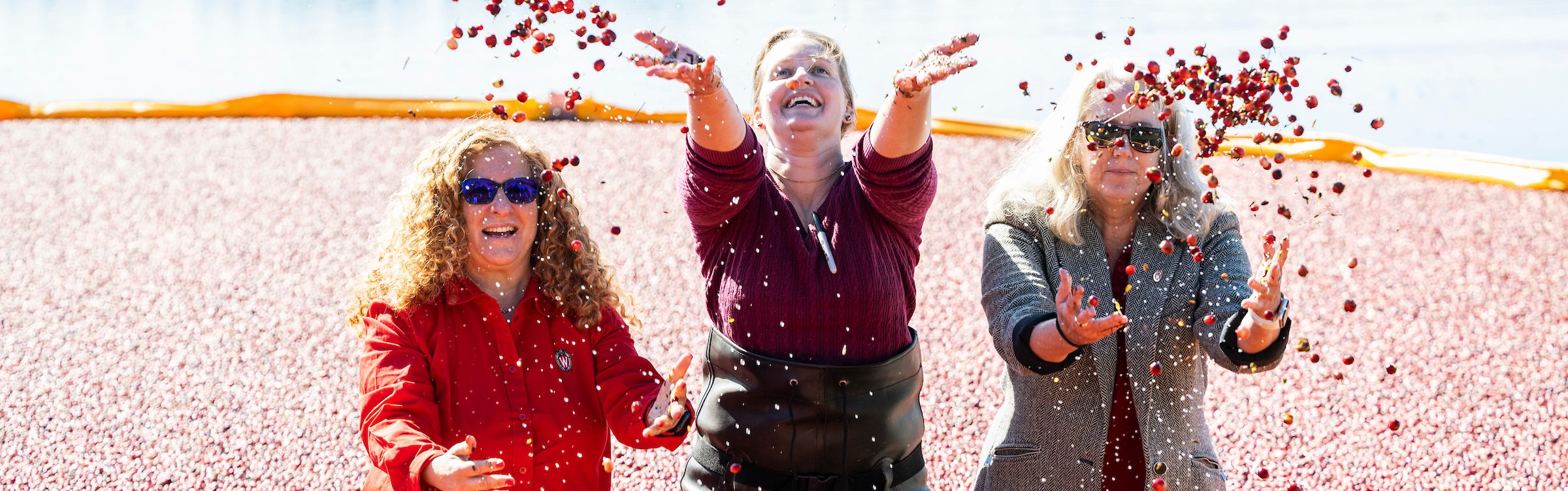 Three women in a cranberry bog throwing cranberries into the air