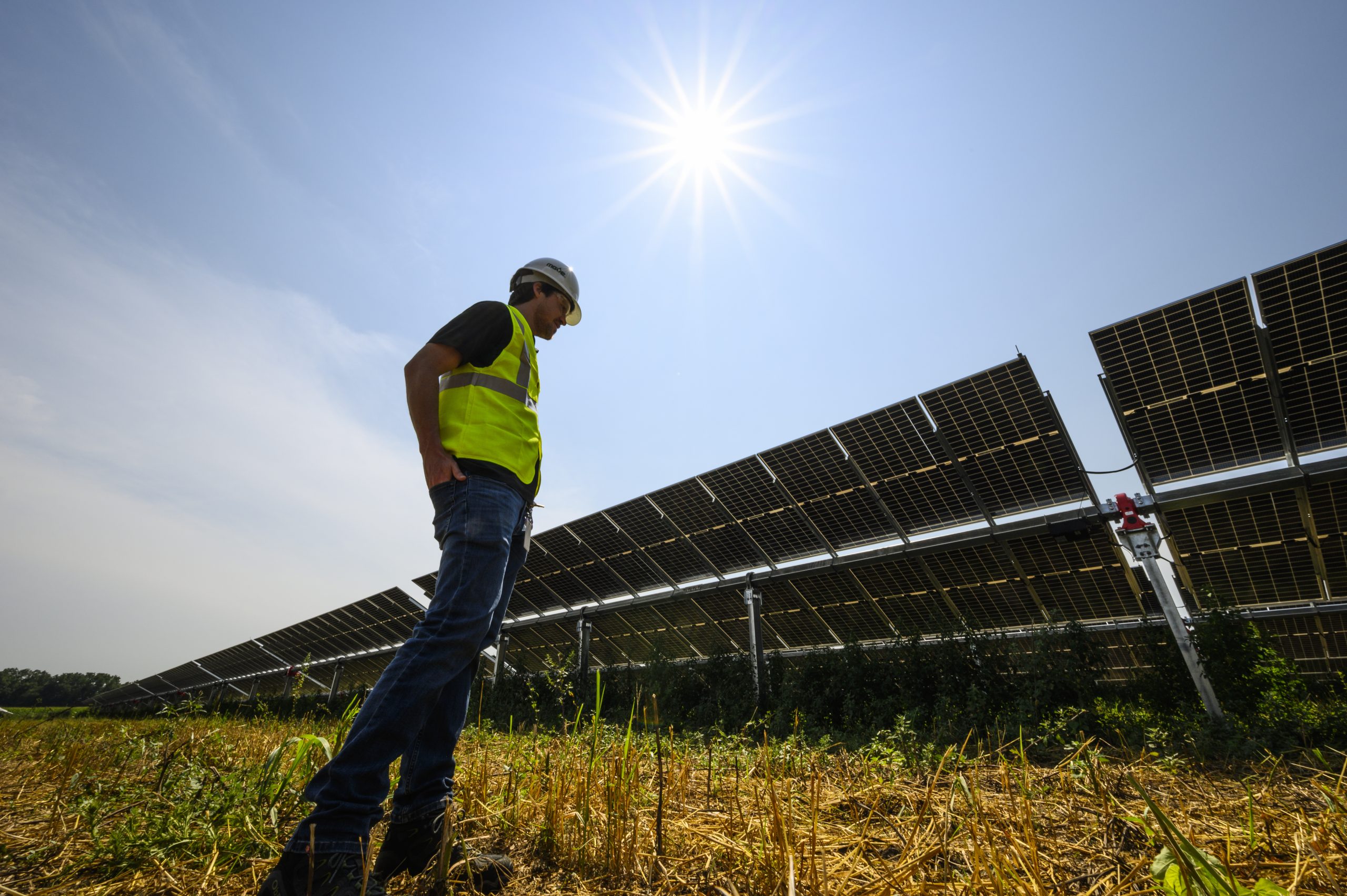 Man looks at a solar array
